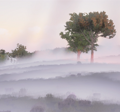 Nouvelle version : XVR On Scene 10.2
