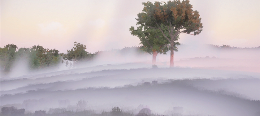 New release: XVR On Scene 10.2